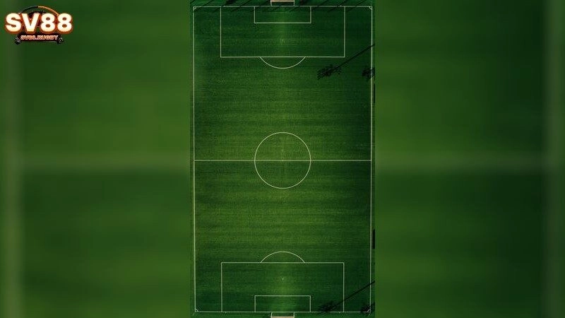 Thói Quen Cá Cược Văn Minh Thói Quen Cá Cược Văn Minh